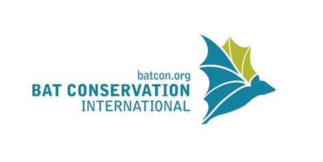 Websitenya Para Penyayang Saudaranya Batman - Bat Conservation International