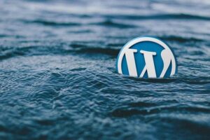 Cara Mengganti Setting Bahasa di WordPress Self Hosted